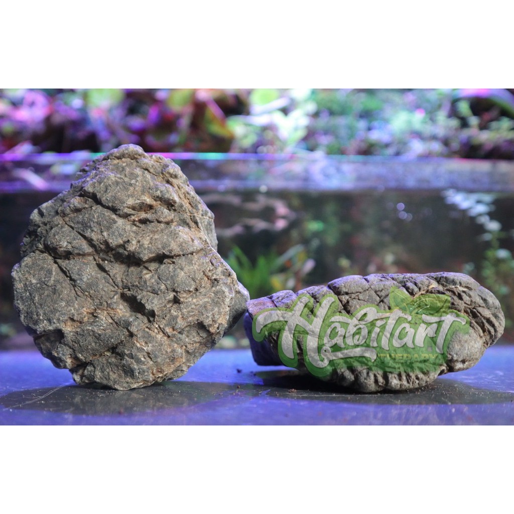 Jual Batu Turli/Turly Stone Hardscape Murah 1 kg Aquascape/Aquarium ...