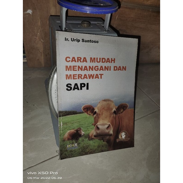 Sei Sapi: Manfaat dan Tips Merawat Sapi dengan Efisien - Ayo Nusantara