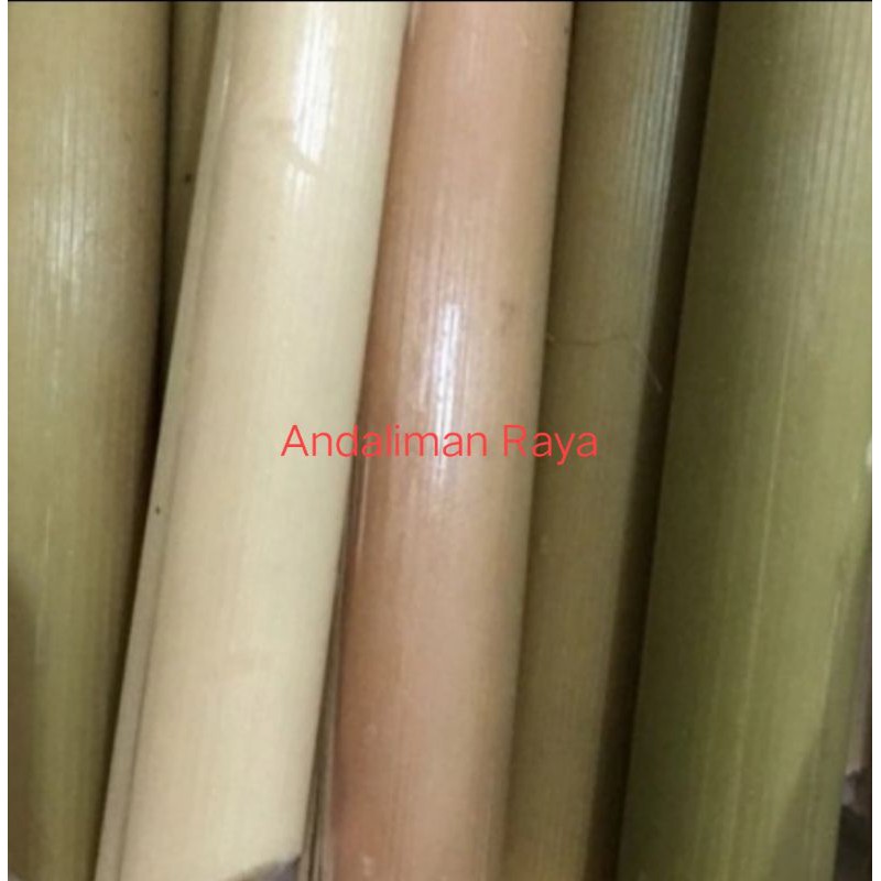 Jual Batang Rias/Kecombrang 500 gram | Shopee Indonesia
