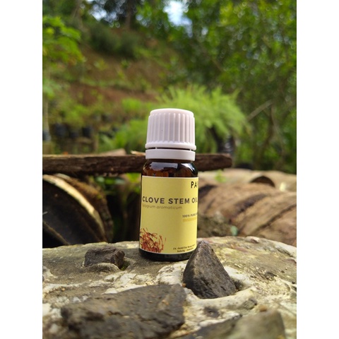 Jual Ml Sampel Minyak Tangkai Gagang Cengkeh Clove Stem Oil