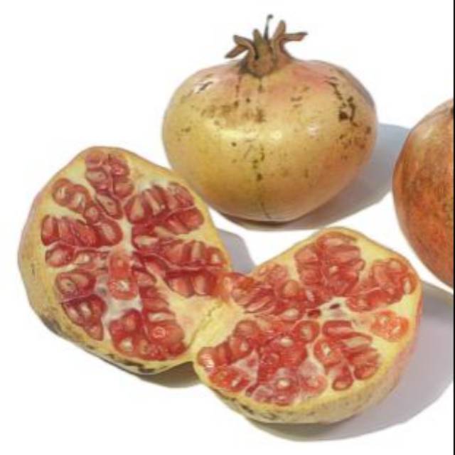 Jual Buah Delima 1 kg / Buah Delima putih | Shopee Indonesia
