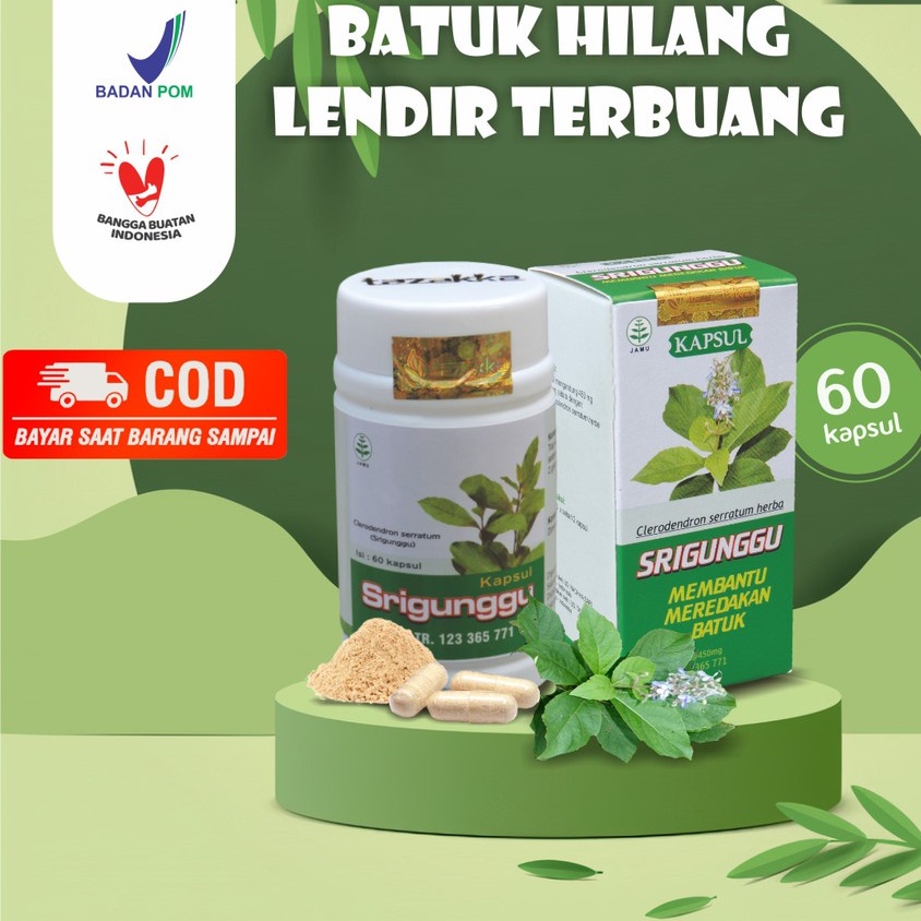 Jual Kapsul Ekstrak Srigunggu Tazakka Obat Gurah Herbal Original Obat