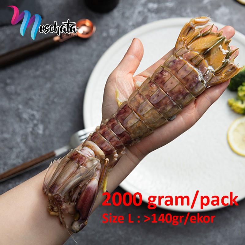 Jual UDANG RONGGENG / UDANG FROZEN SIZE L 2000gr / UDANG MANTIS / GETAK