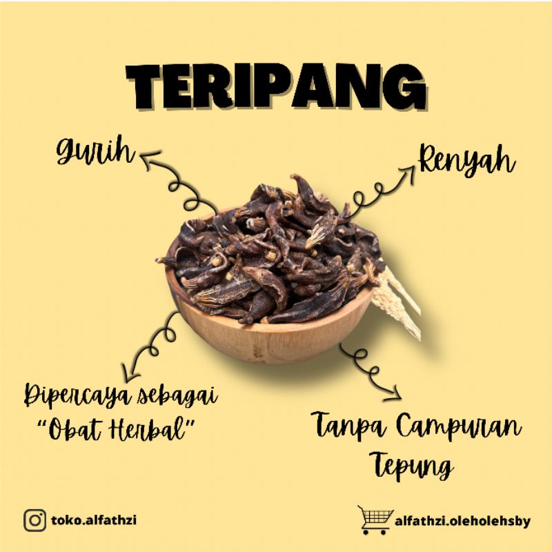 Jual Teripang Terlengkap & Harga Terbaru Juli 2026 | Shopee Indonesia