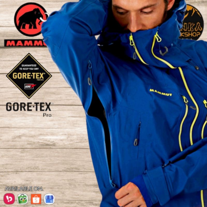 Mammut Alvier HS Hooded Goretex PRO Jacket