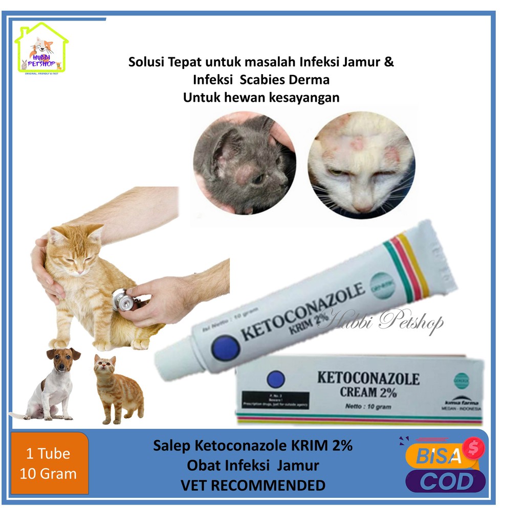 Jual Obat Jamur Kucing Salep Jamur Kucing Anjing Kelinci Ketoconazole