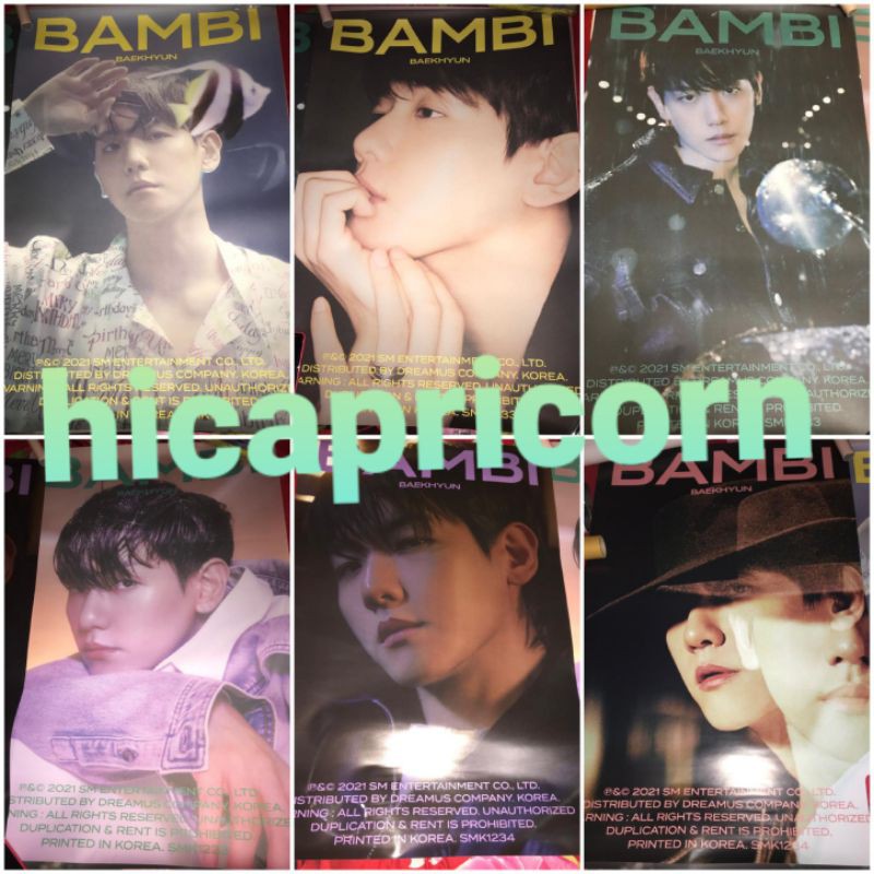 Jual Poster Album Baekhyun Bambi + Tube | Shopee Indonesia