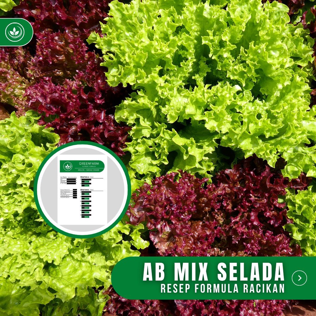 Jual Resep AB Mix Selada Formula Racikan Nutrisi AB Mix Selada | Shopee ...