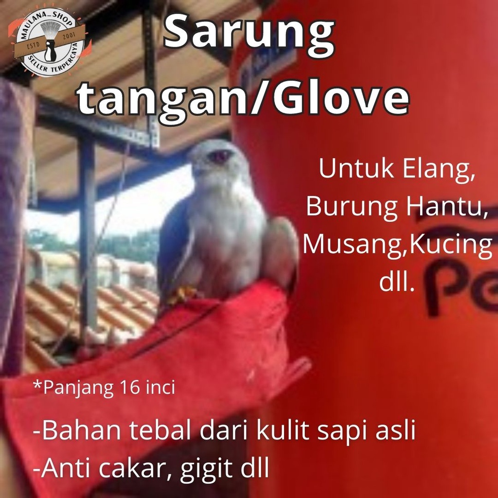 Jual Glove / sarung tangan burung hantu, elang, alap-alap, tyto alba