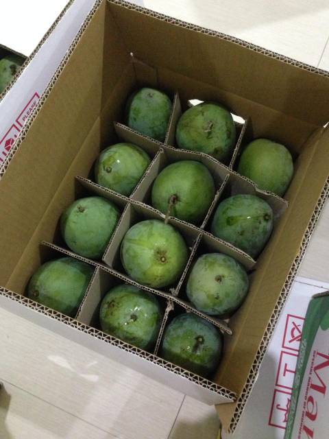 Jual Princess Mango | Shopee Indonesia