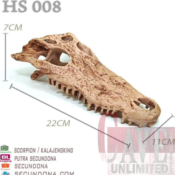 Jual HS008 HIDING CAVE SKULL SKELETON TENGKORAK BUAYA CROCODILE FOR ...