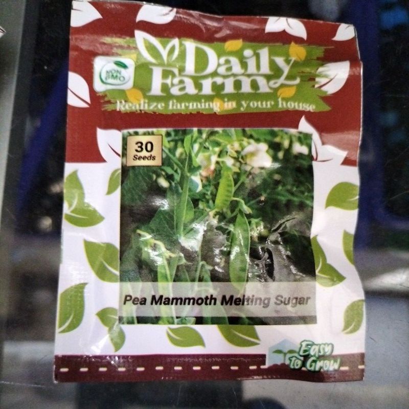 Jual Benih bibit kacang kapri isi 30 seeds | Shopee Indonesia