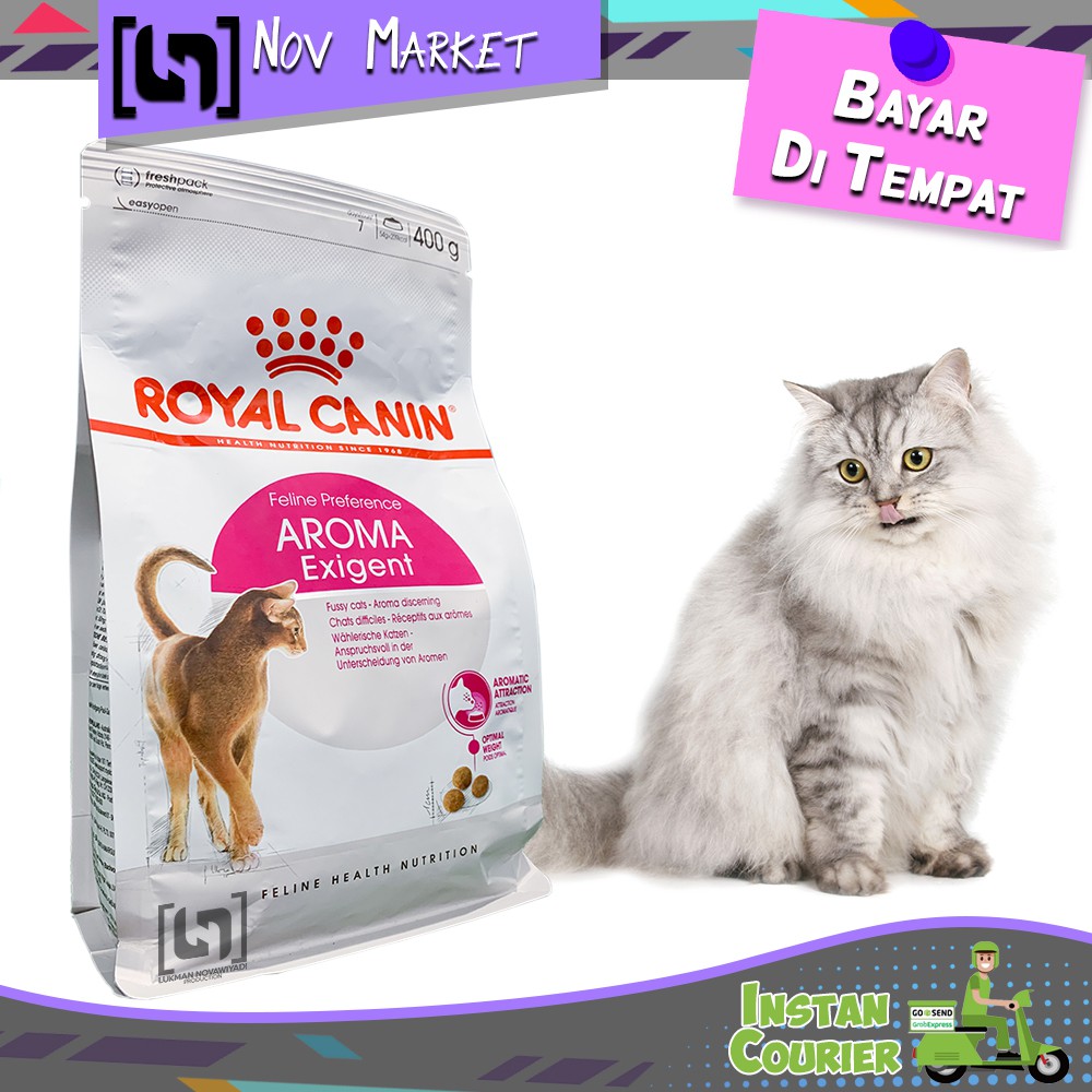 Royal canin 2025 kitten untuk gemuk