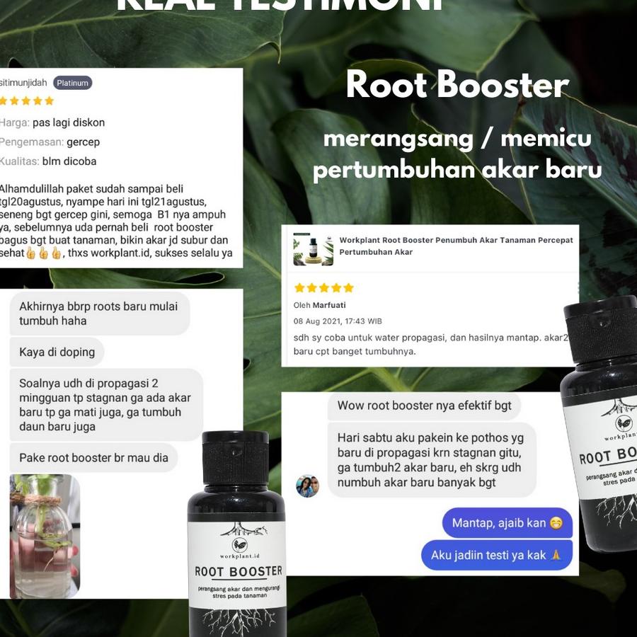 Jual Trendy Workplant Root Booster Perangsang Akar Penumbuh Nutrisi