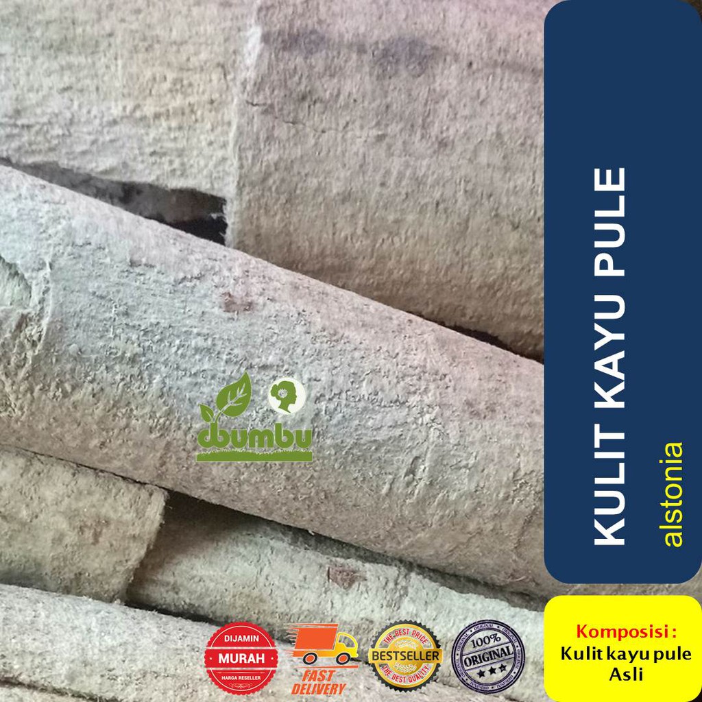 Jual Kayu Pule Terlengkap & Harga Terbaru Juli 2026 | Shopee Indonesia