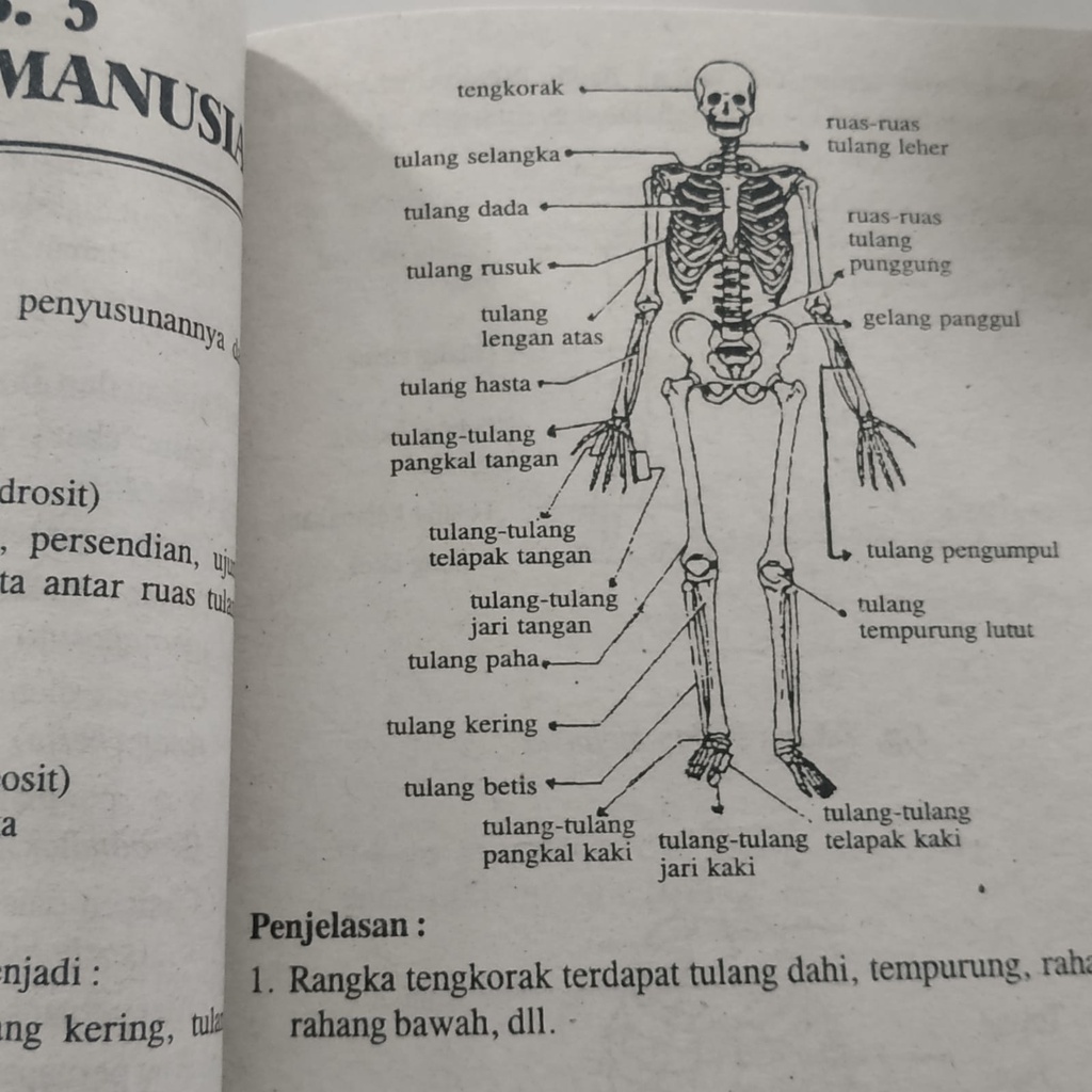 Jual RPAL rangkuman pengetahuan alam lengkap | Shopee Indonesia