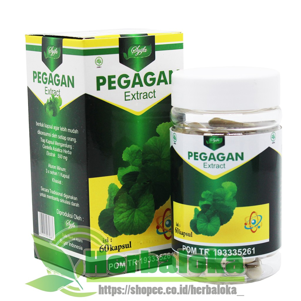 Jual Pegagan Extract Syifa Kapsul Kapsul Ekstrak Pegagan Syifa