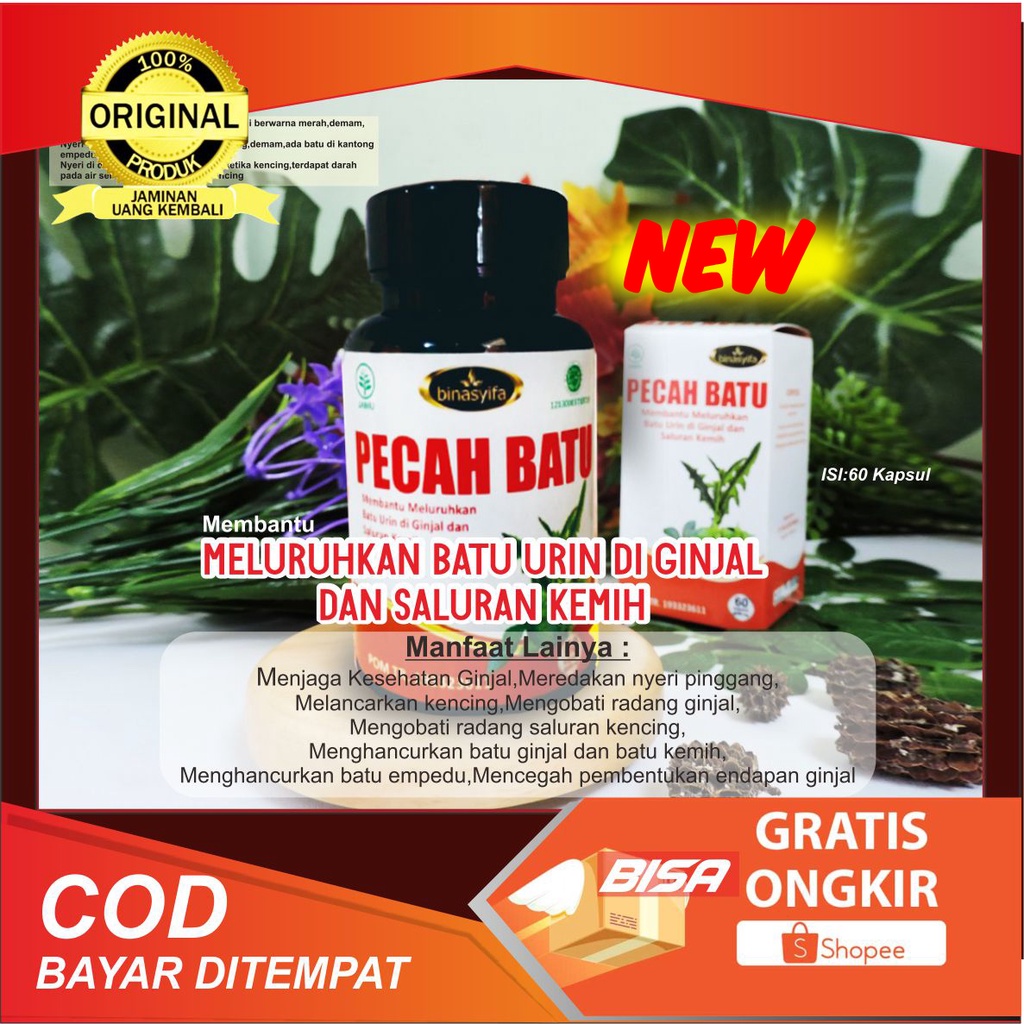 Jual HERBAL PECAH BATU [ Original 100% ]OBAT PECAH BATU|BATU GINJAL ...