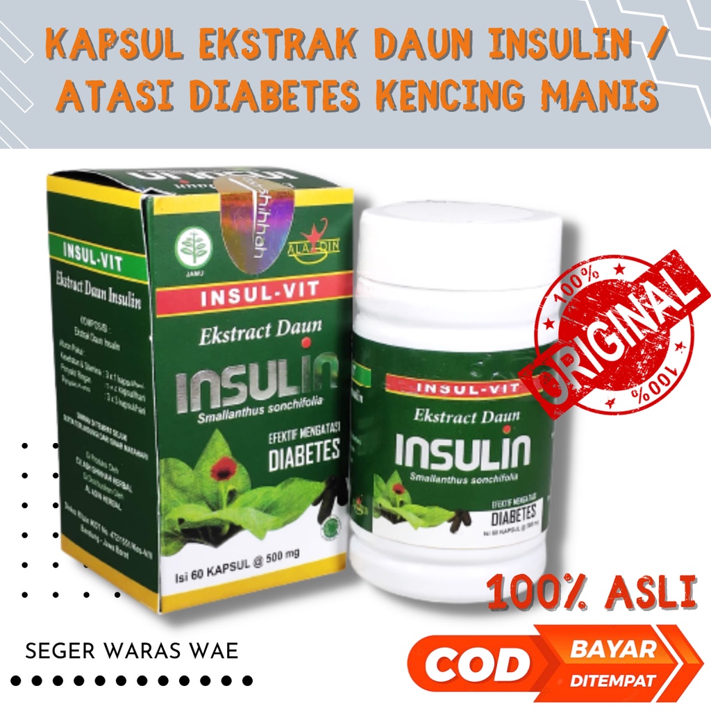 Jual Kapsul Daun Insulin Insul Vit Ekstrak Yakon Obat Diabetes