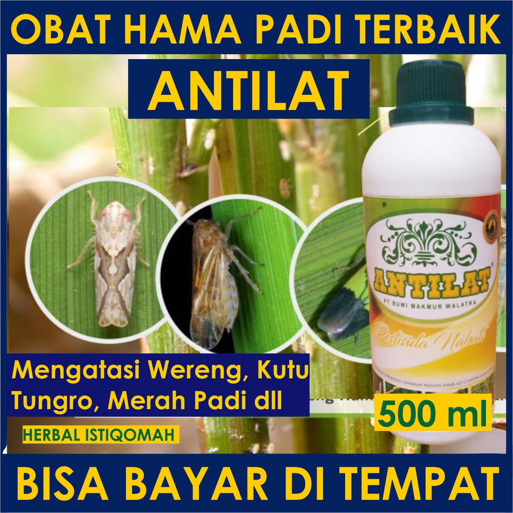 Jual 500 ml OBAT SEMPROT HAMA WERENG TANAMAN PADI, Pestisida Nabati