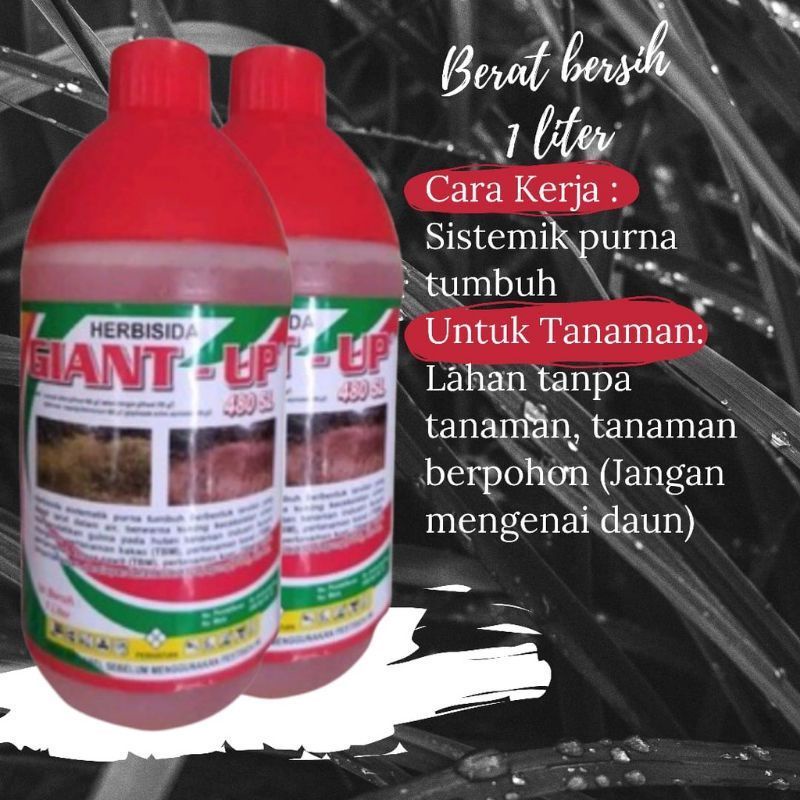 Jual Herbisida Giant Up 480 Sl 1liter Herbisida Sistemik Rumput Mati