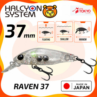 HALCYON System RAVEN 37F 37mm Floating Minnow Umpan Pancing Lure Casting Light Game Rockfish Mebaru Original Japan