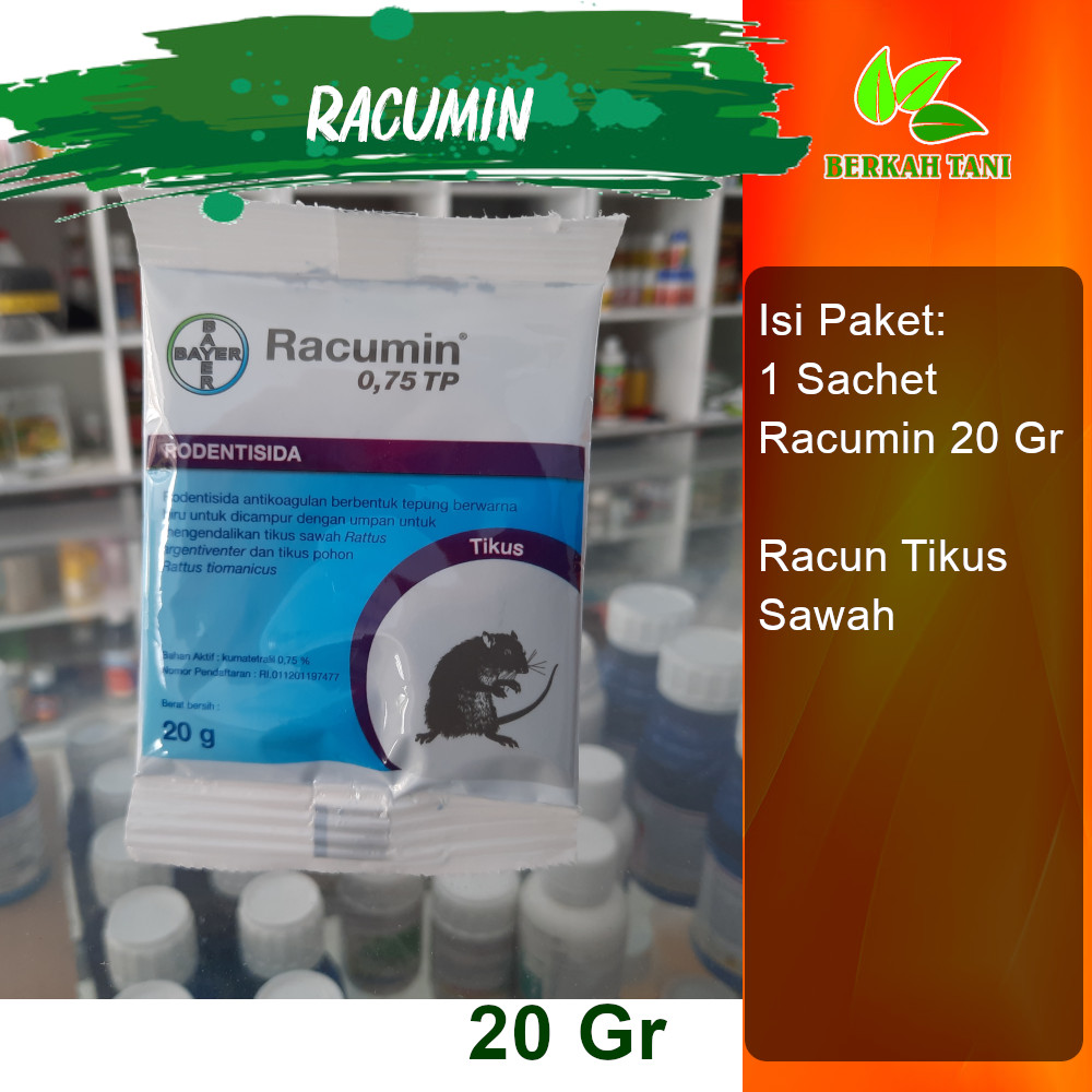 Jual Racumin 20 Gram Pengendali Hama Tikus Sawah dan Tikus Rumah ...