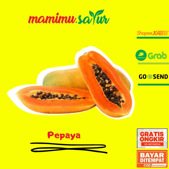 Jual Pepaya Matang 1 Pcs Pepaya Mateng Papaya Matang Papaya Mateng