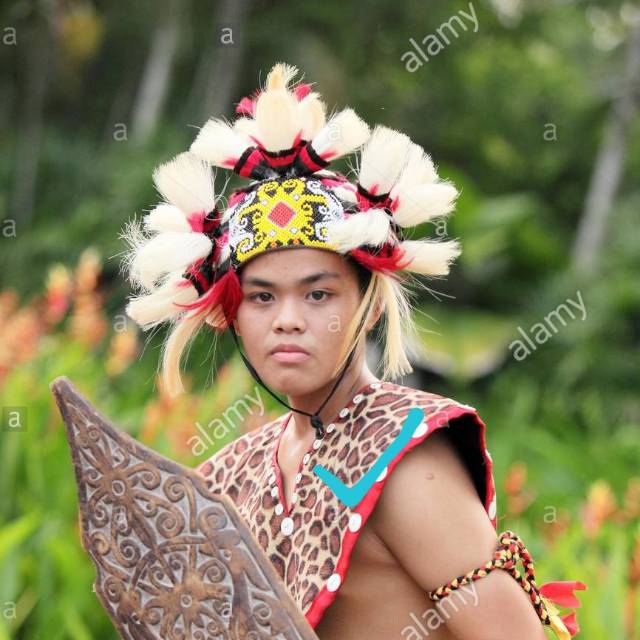 Jual Topi Perang Dayak / Hiasan Kepala Dayak Kalimantan | Shopee Indonesia