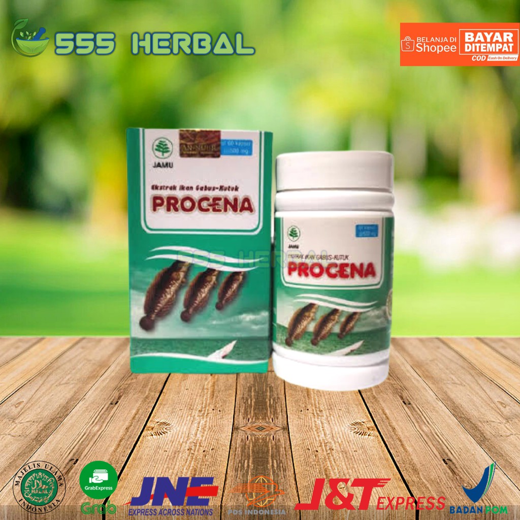 Jual Procena Kapsul Ekstrak Ikan Gabus Kutuk Isi 60 Obat Herbal ...