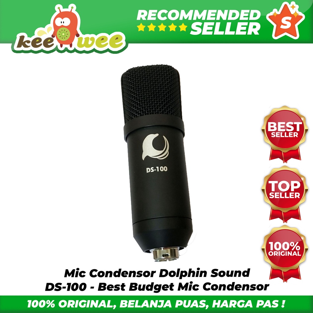 Jual Mic Condensor Dolphin Sound DS100 Best Budget Mic Condensor