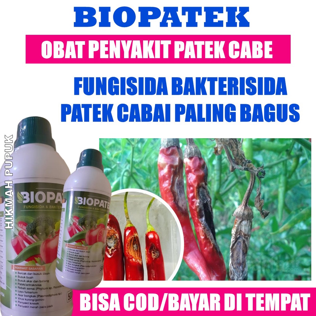 Jual Kirim Hari Ini Isi Ml Biopatek Pupuk Organik Obat Hama Patek