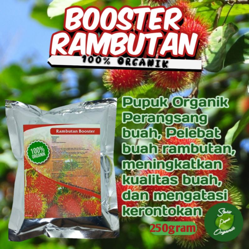 Jual Pupuk Perangsang Buah Rambutan, Pelebat Buah Rambutan, Booster ...