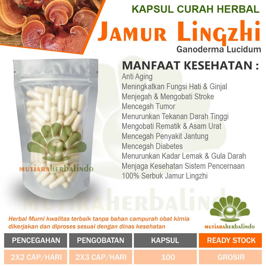 JAMUR LINGZHI Kapsul Herbal Tumor Kanker Stroke Anti Aging 100 capsul