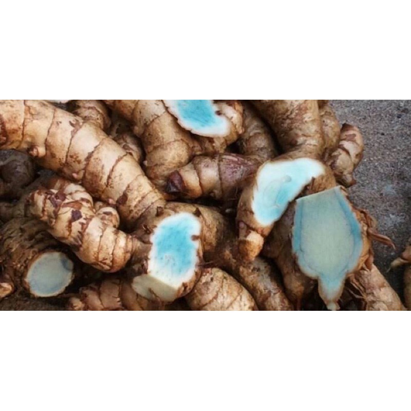 Jual Kunyit Hitam Organik 100g | Shopee Indonesia