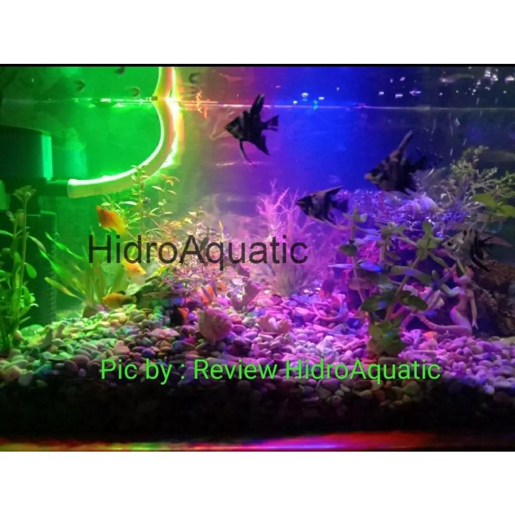 Jual Lampu Aquarium 60cm 3 Warna - Akuarium / Lampu celup / Lampu Led /  Lampu neon | Shopee Indonesia