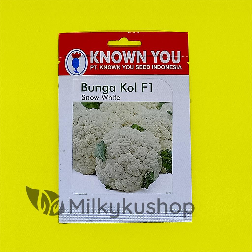 Jual Benih Kys Known You Seed Bunga Kol F1 Snow White Kemasan Pabrik