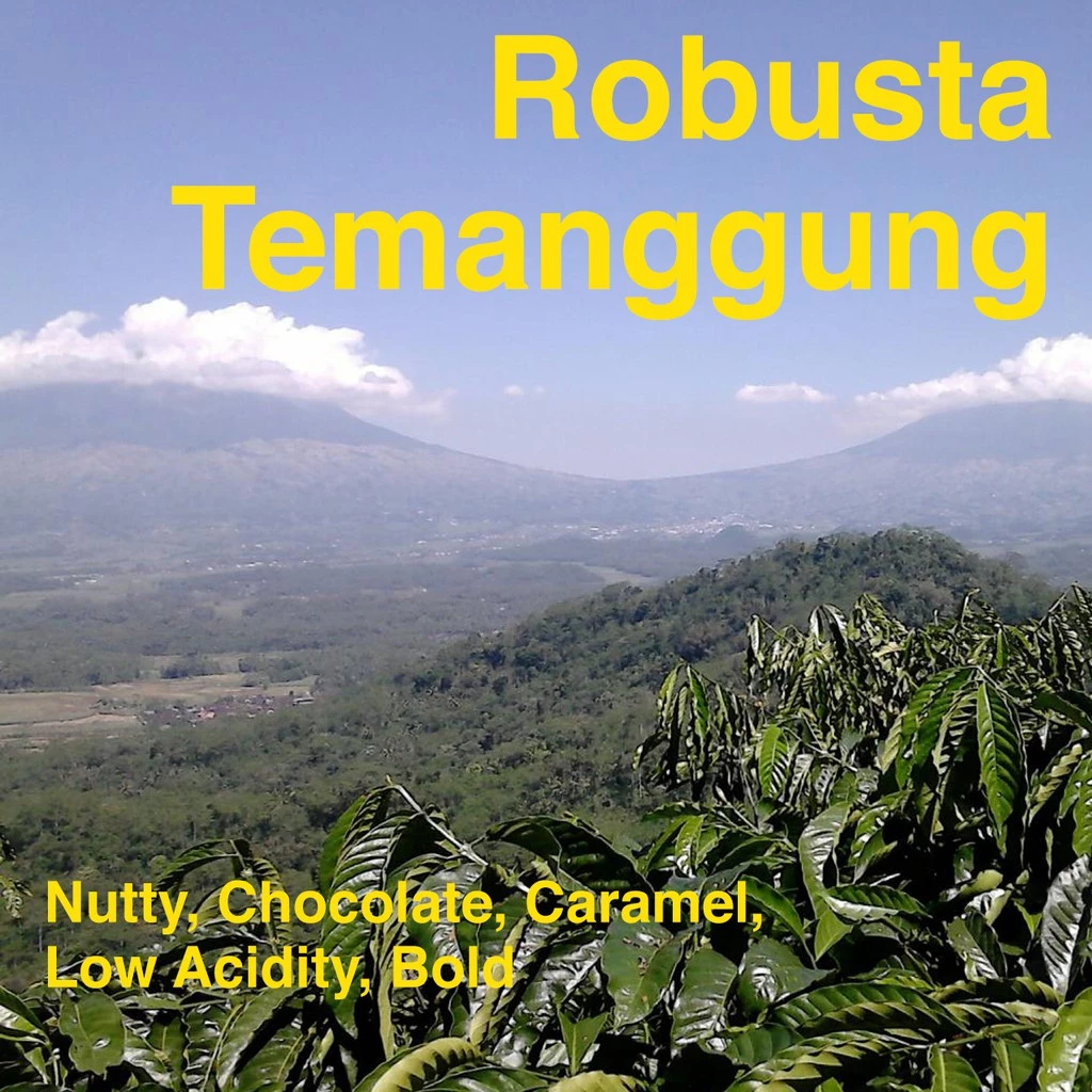 ROBUSTA TEMANGGUNG