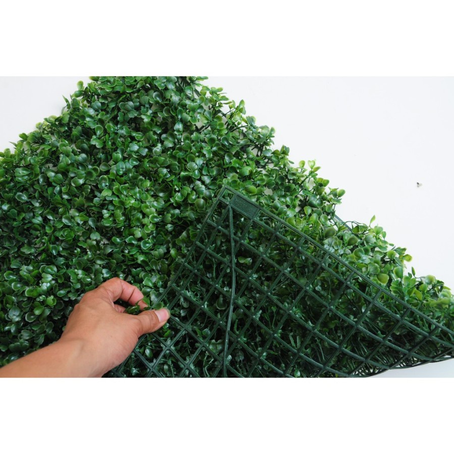 Jual Rumput Sintetis Dinding Motif Daun Dolar / Rumput Rambat Findlove ...
