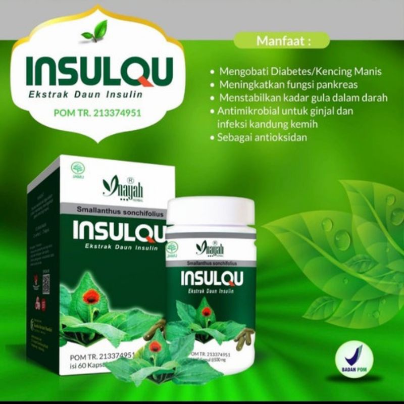 Obat Diabetes Turun Gula Darah kapsul insulin qu ekstrak grade A bpom