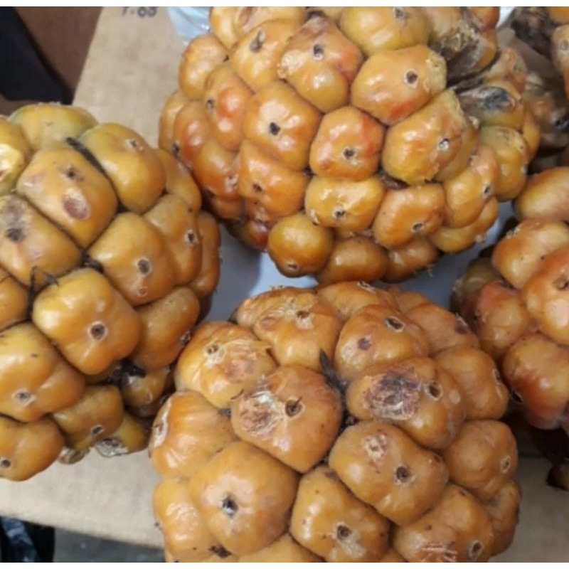 Jual Asam Cekala Berat 1 kg (Pengiriman Medan) | Shopee Indonesia
