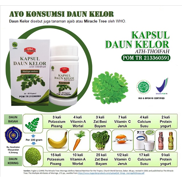 Jual Kapsul Daun Kelor Ath Thoifah Moringa Olieifera Folium Kapsul