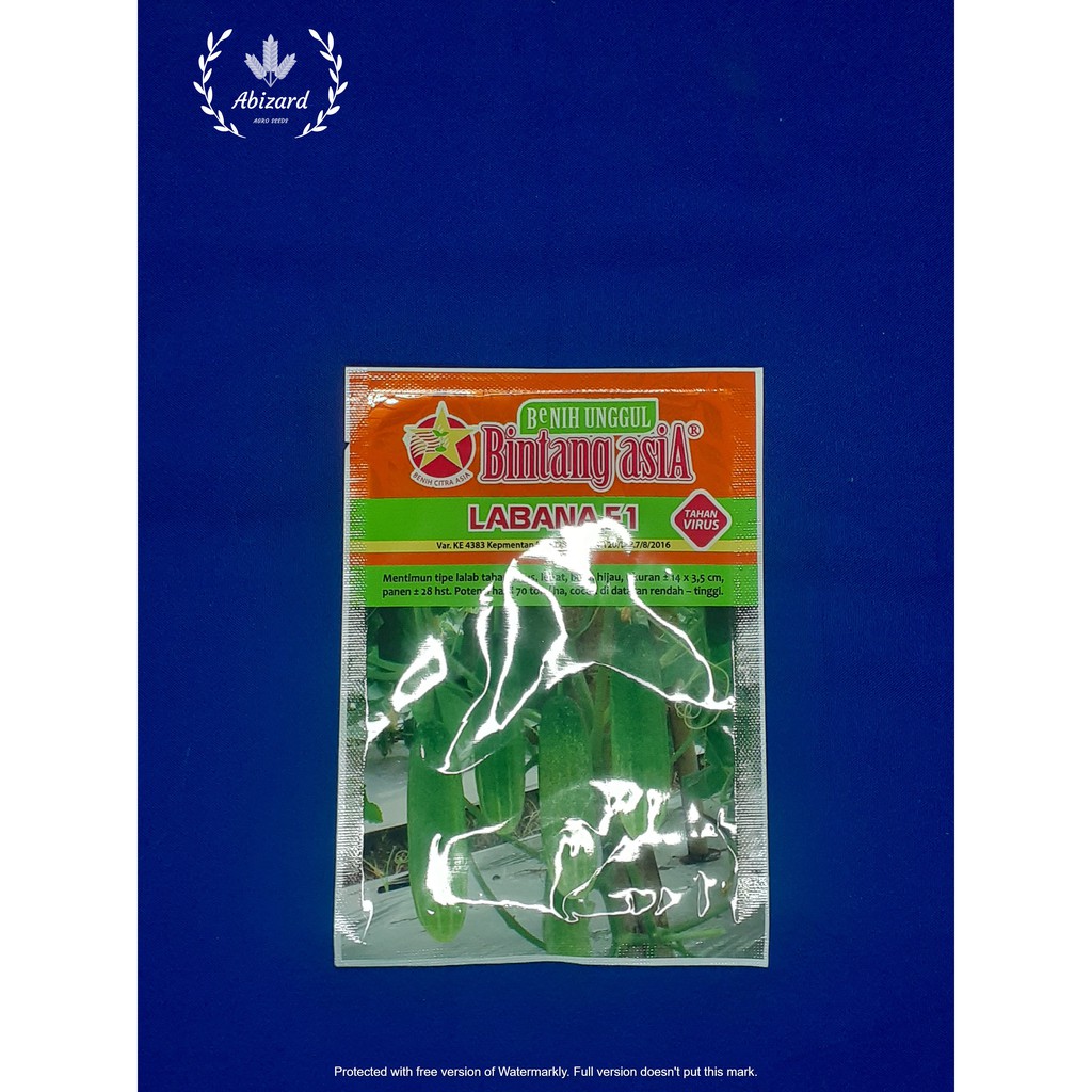 Jual Benih Bibit Mentimun Ketimun Timun Labana F1 20gr Original Pack ...