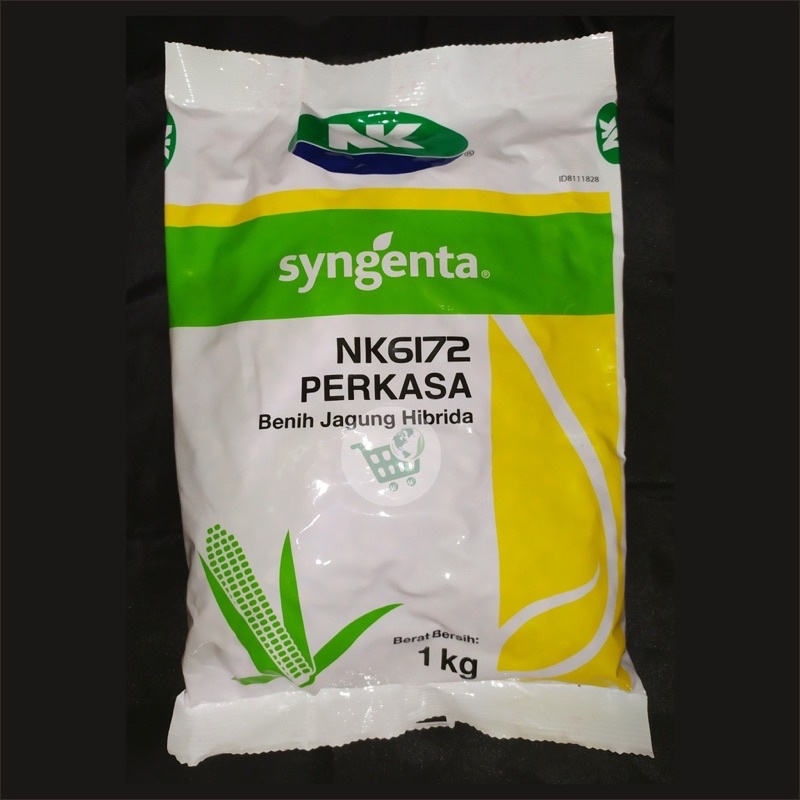 Jual Benih Jagung NK Perkasa 6172 Kemasan 1 Kg | Shopee Indonesia