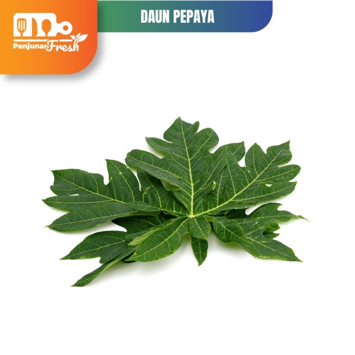 Jual Sayur Daun Pepaya Segar 100 Gram Daun Pepaya Jepang Sayuran