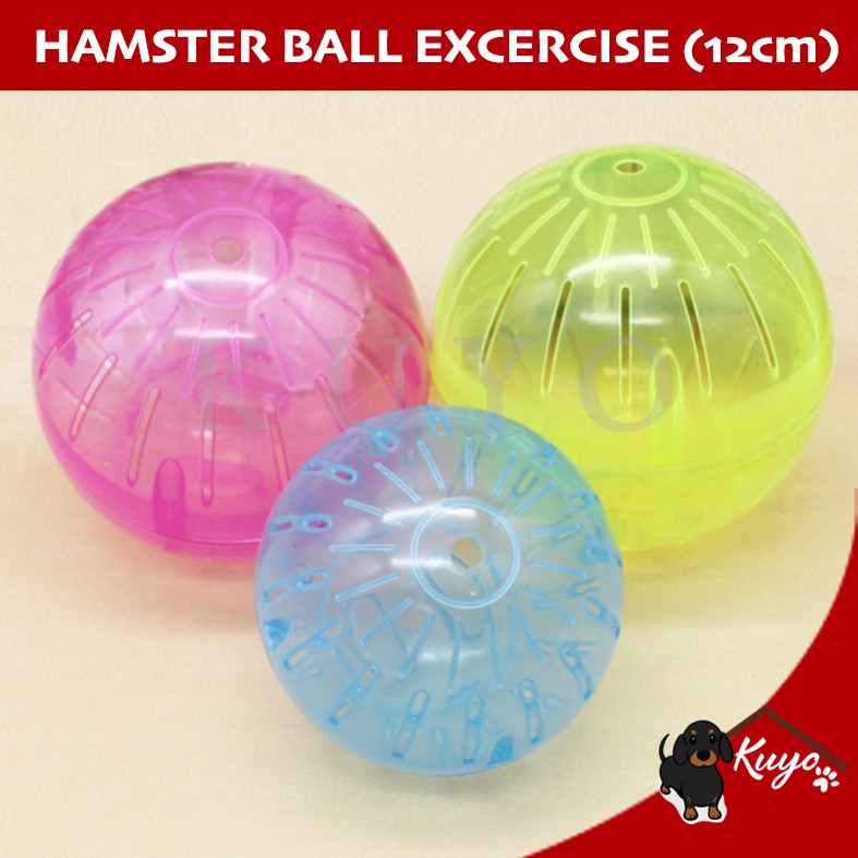 Hamster store ball shopee