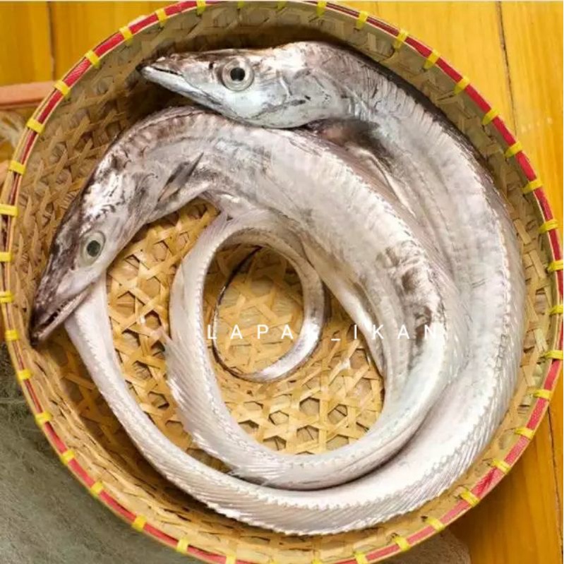 Jual Ikan Layur Segar Fresh Bergaransi 1Kg | Shopee Indonesia