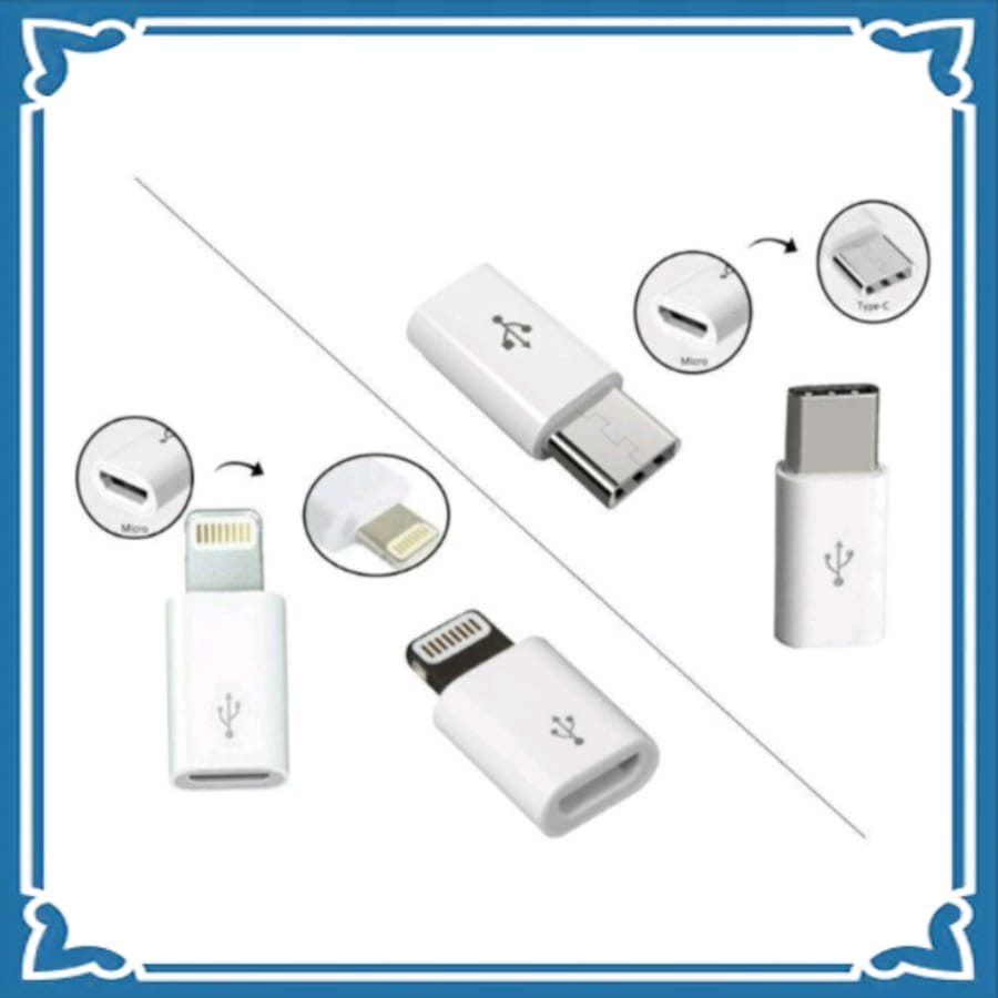 Jual JS FCH Converter Adapter Micro to Type C dan Connector Micro to