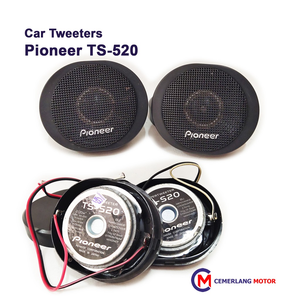 Pioneer 2024 ts 520