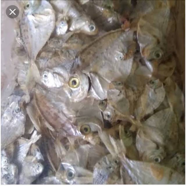 Jual Ikan Asin Gerih Ikan Pirik/Ikan Petek/Ikan Dodok 100 gr mentah ...